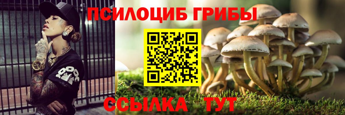 Камышин  Галлюциногенные грибы Magic Shrooms  Вход с VPN 
