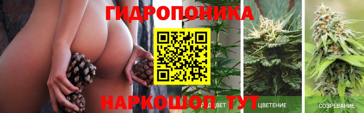 Конопля MAZAR Камышин